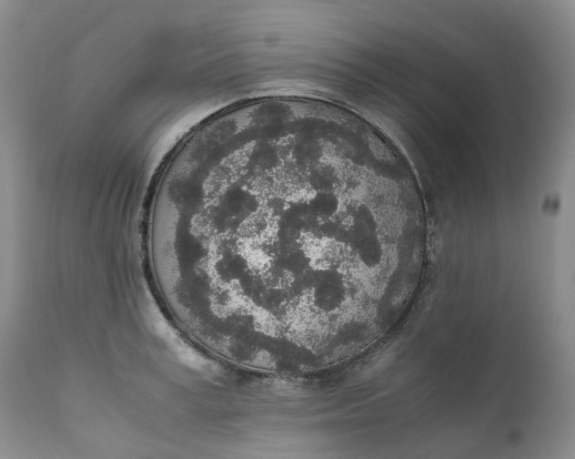 X0000111250995200907161402