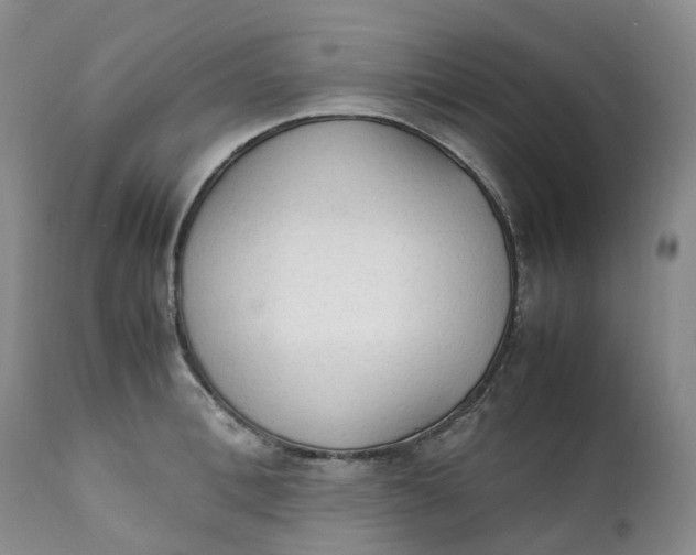 X0000111250996200907161402