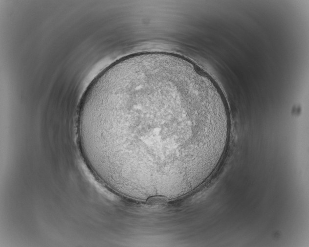 X0000111250997200907161402