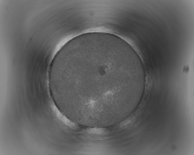 X0000111250998200907161402