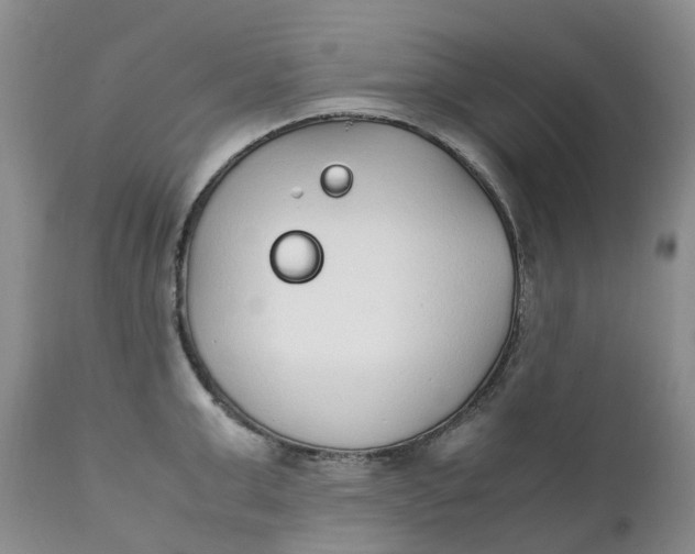 X0000111250999200907161402