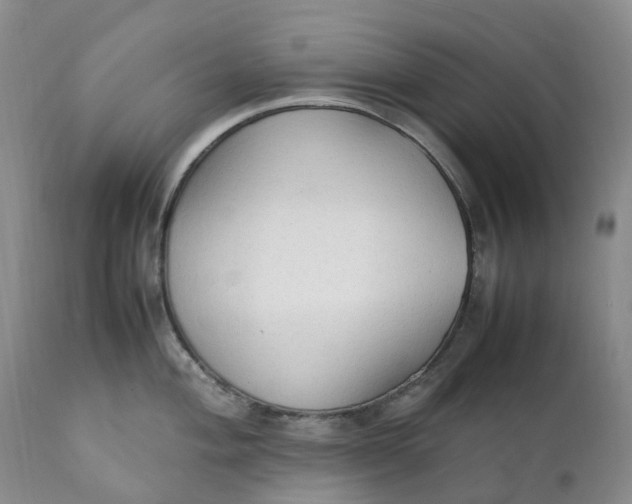 X0000111251004200907161402