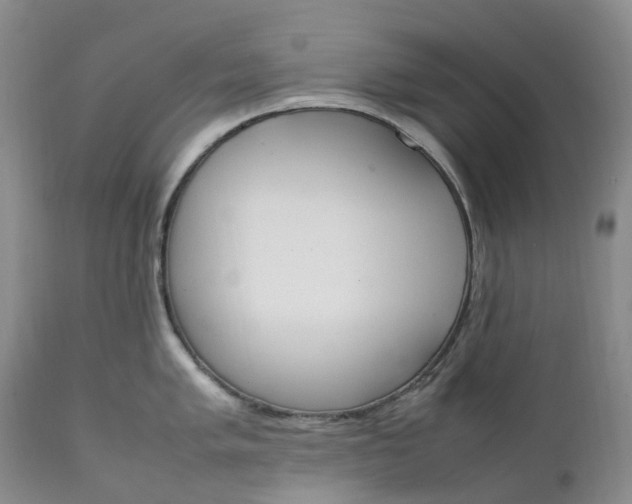 X0000111251005200907161402