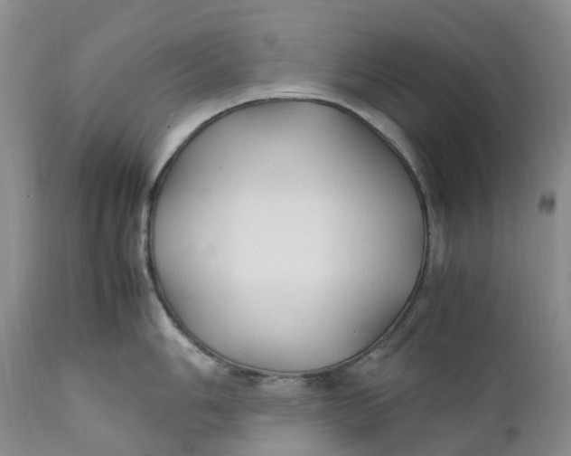 X0000111251006200907161402