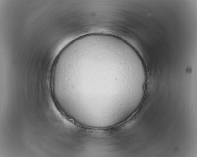 X0000111251007200907161402