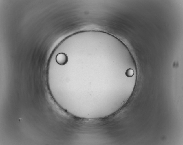 X0000111251008200907161402