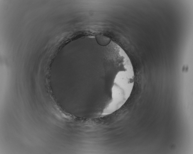 X0000111251009200907161401