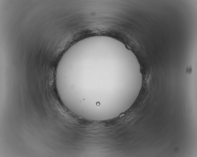 X0000111251012200907161401