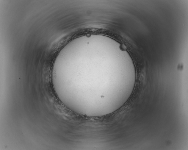 X0000111251014200907161401