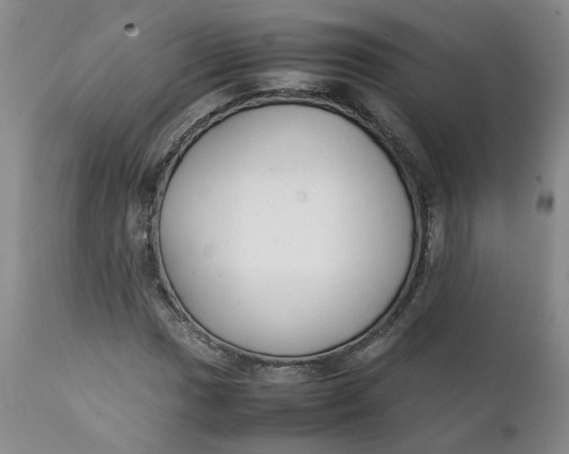 X0000111251017200907161401