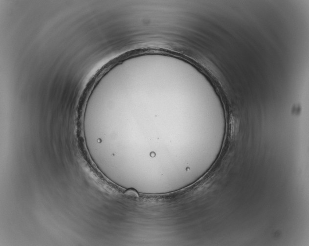 X0000111251020200907161401