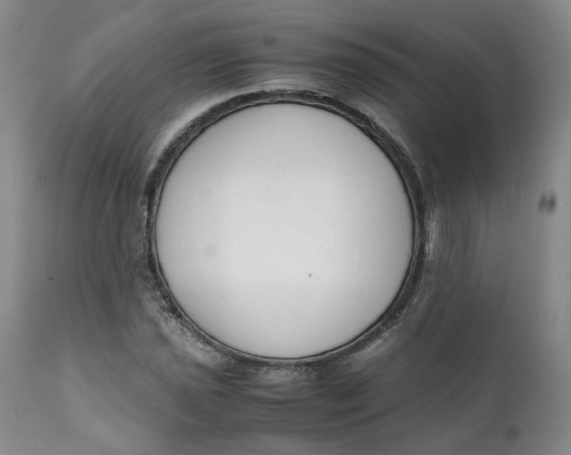 X0000111251021200907161401