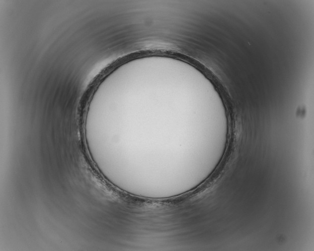 X0000111251022200907161401