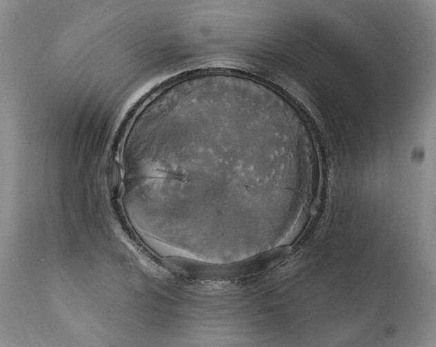 X0000111251024200907161401