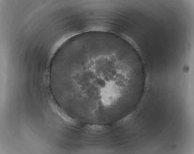 X0000111251027200907161401