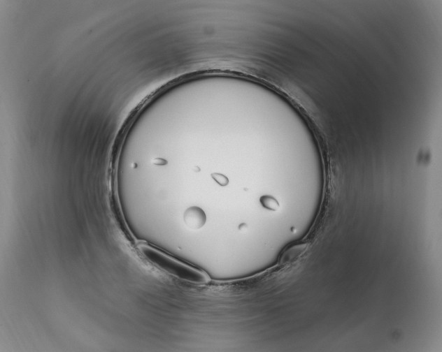 X0000111251028200907161401