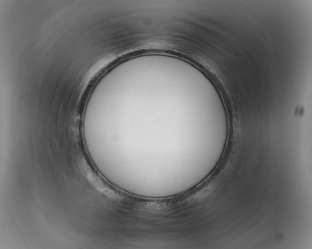 X0000111251029200907161401