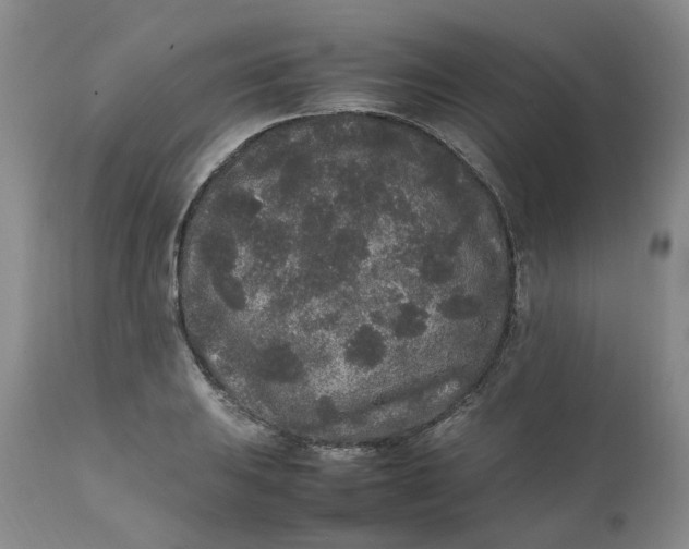 X0000111251031200907161401