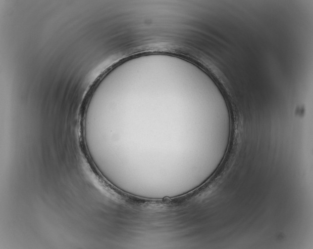 X0000111251034200907161401