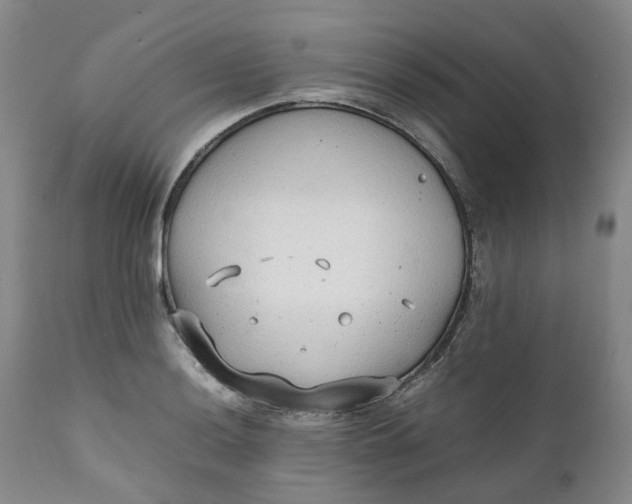 X0000111251036200907161401