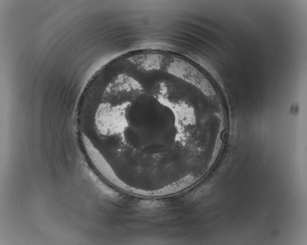 X0000111251037200907161401