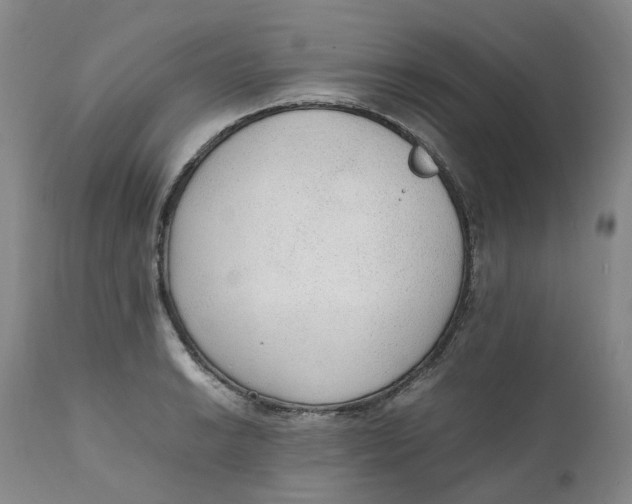 X0000111251038200907161401