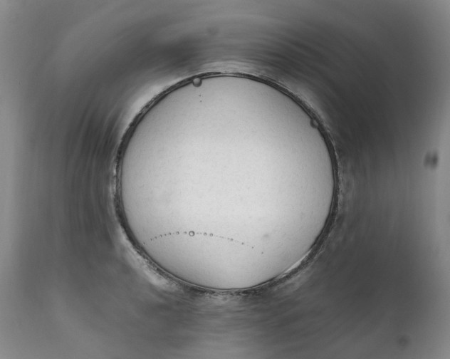 X0000111251040200907161401