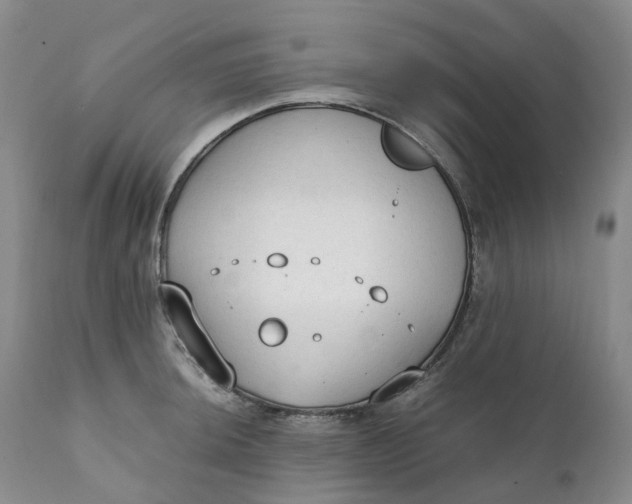 X0000111251044200907161401