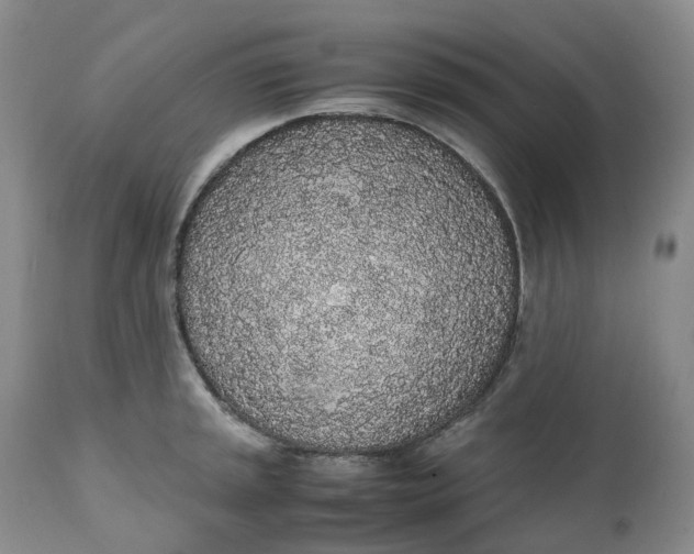 X0000111251045200907161401