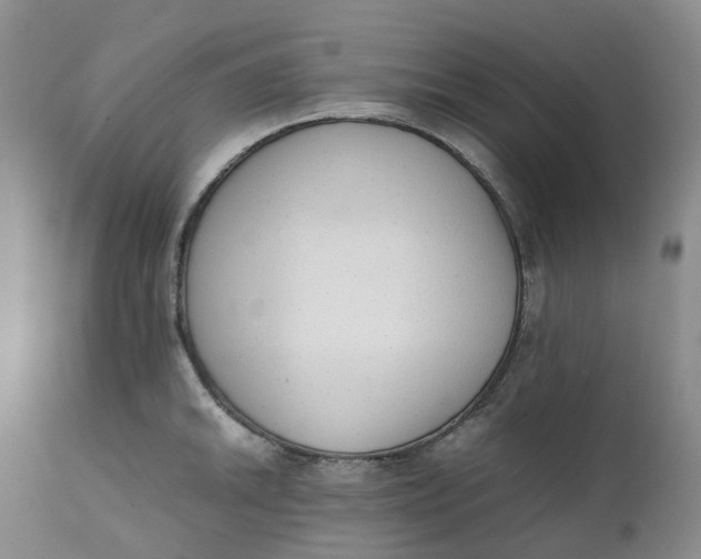 X0000111251046200907161401