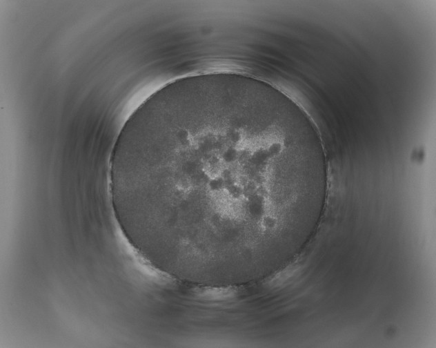 X0000111251047200907161401