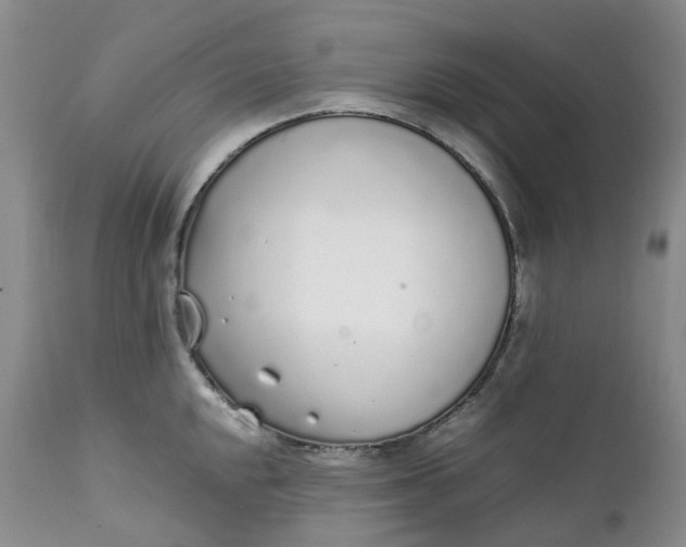 X0000111251048200907161401