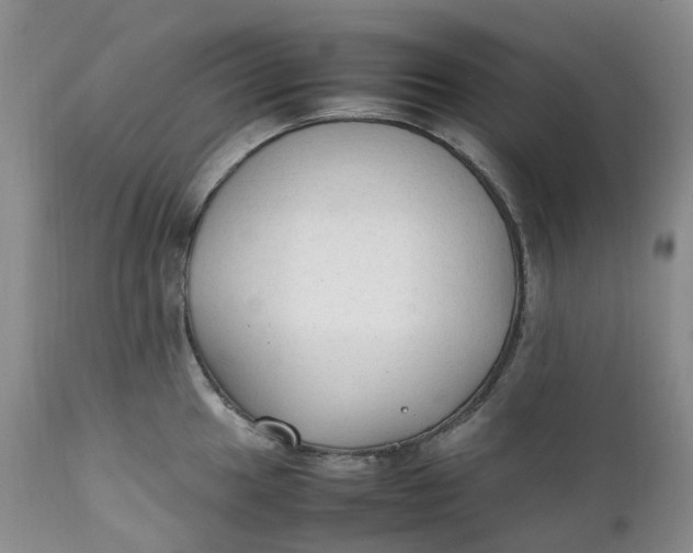 X0000111251049200907161401