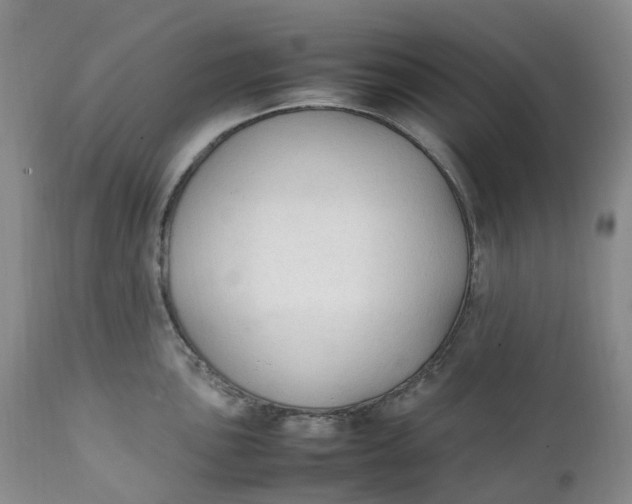 X0000111251051200907161401