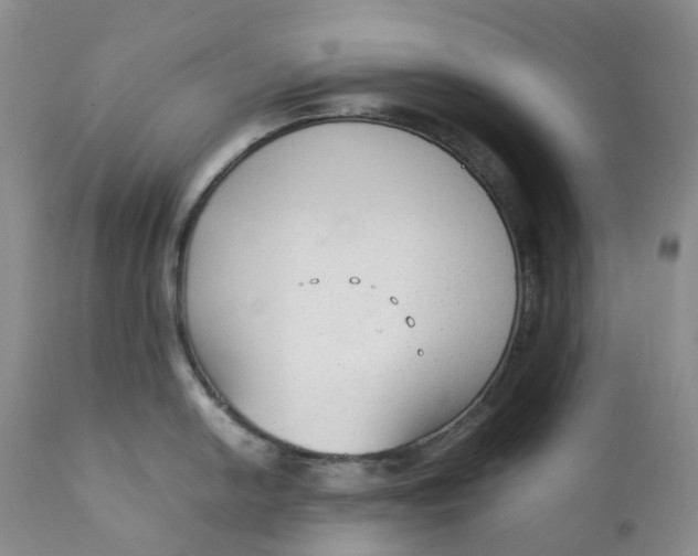 X0000111251054200907161401