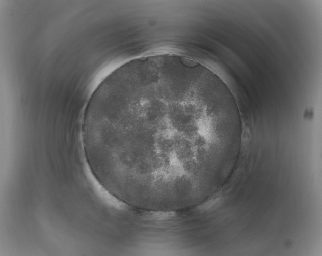 X0000111251055200907161401