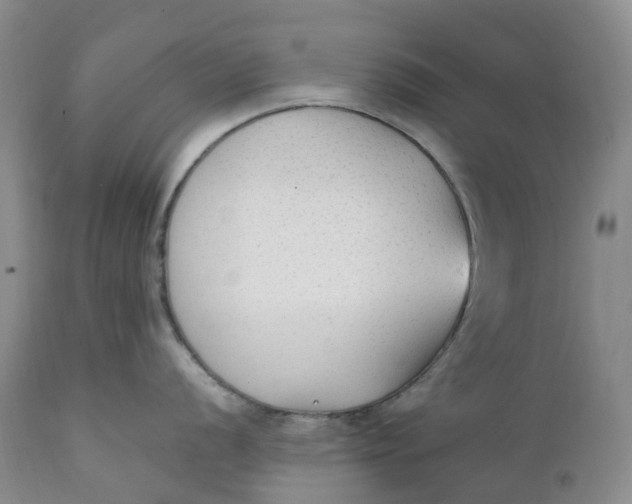 X0000111251056200907161401