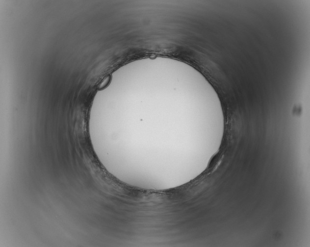 X0000111251058200907161401