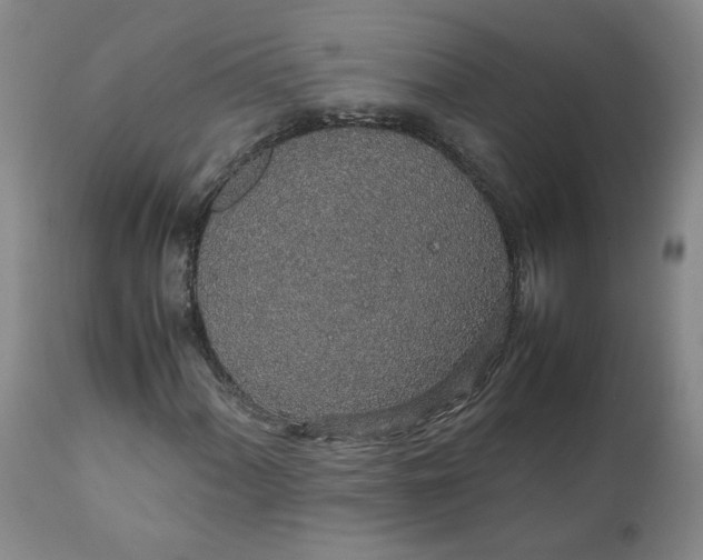 X0000111251060200907161401