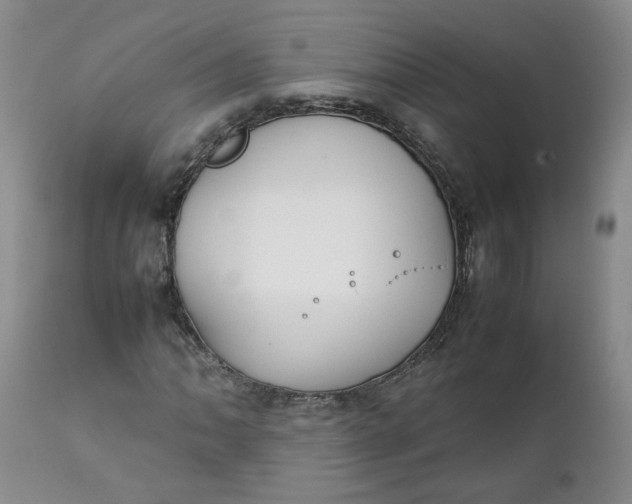 X0000111251062200907161401