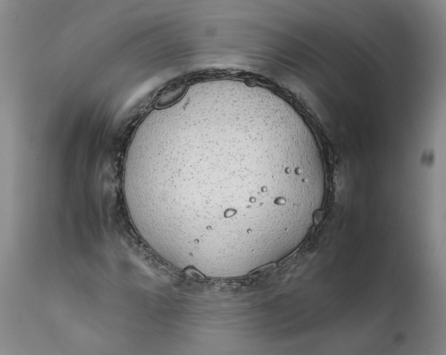 X0000111251064200907161401