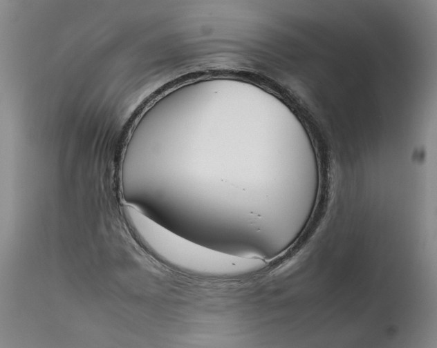 X0000111251065200907161401