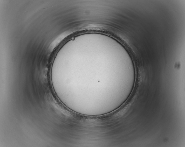 X0000111251066200907161401