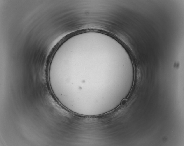 X0000111251068200907161401