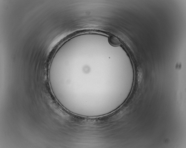 X0000111251069200907161401