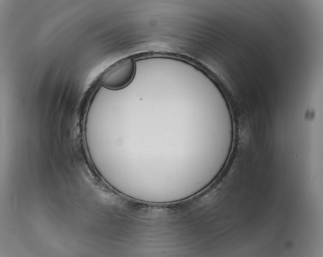 X0000111251070200907161401