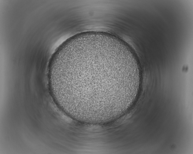 X0000111251071200907161401