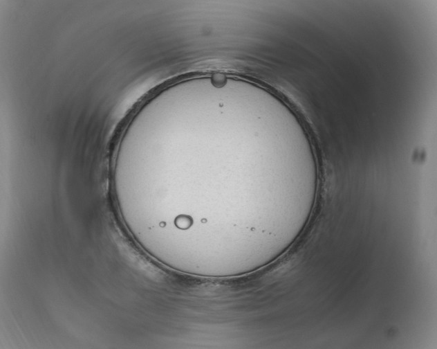 X0000111251075200907161401