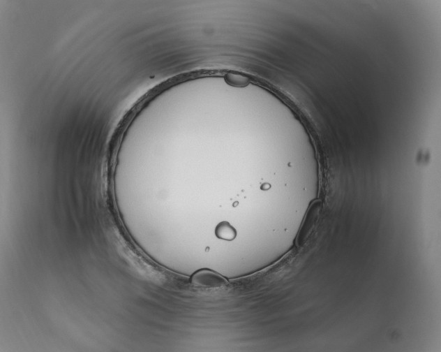 X0000111251076200907161401