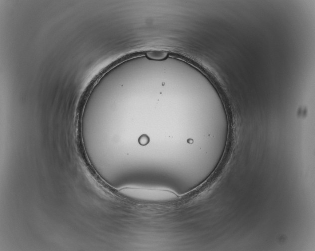 X0000111251077200907161401